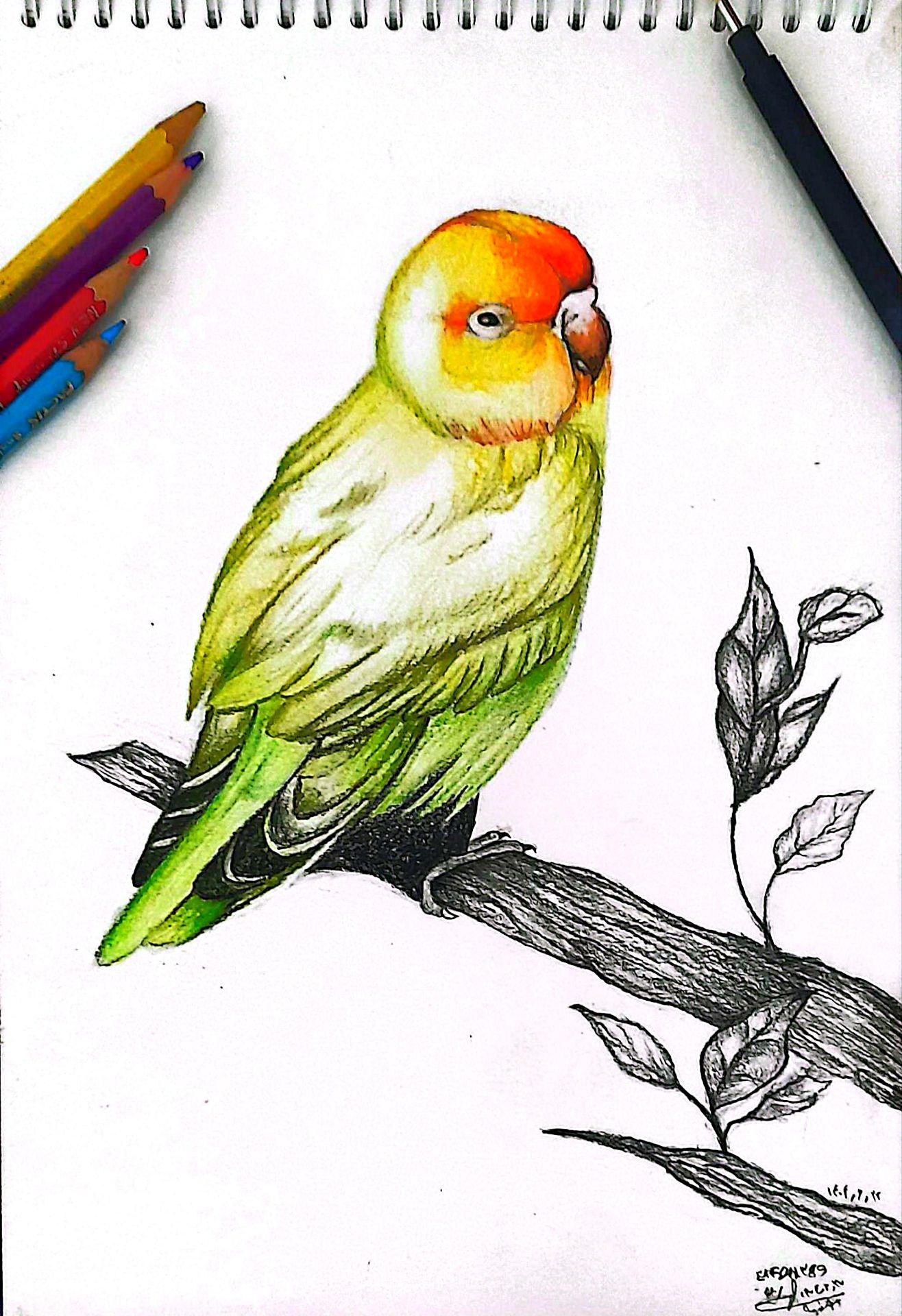 اثر هنری 6